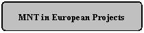 Flowchart: Alternate Process: MNT in European Projects